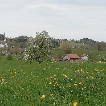 Billenberghof Lejlighed Sankt Gallen Eksteriør billede