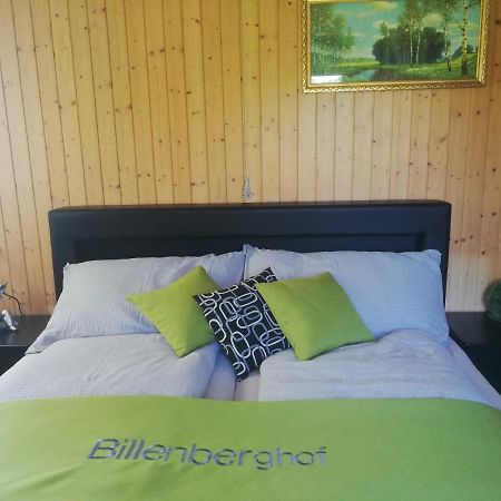 Billenberghof Lejlighed Sankt Gallen Eksteriør billede