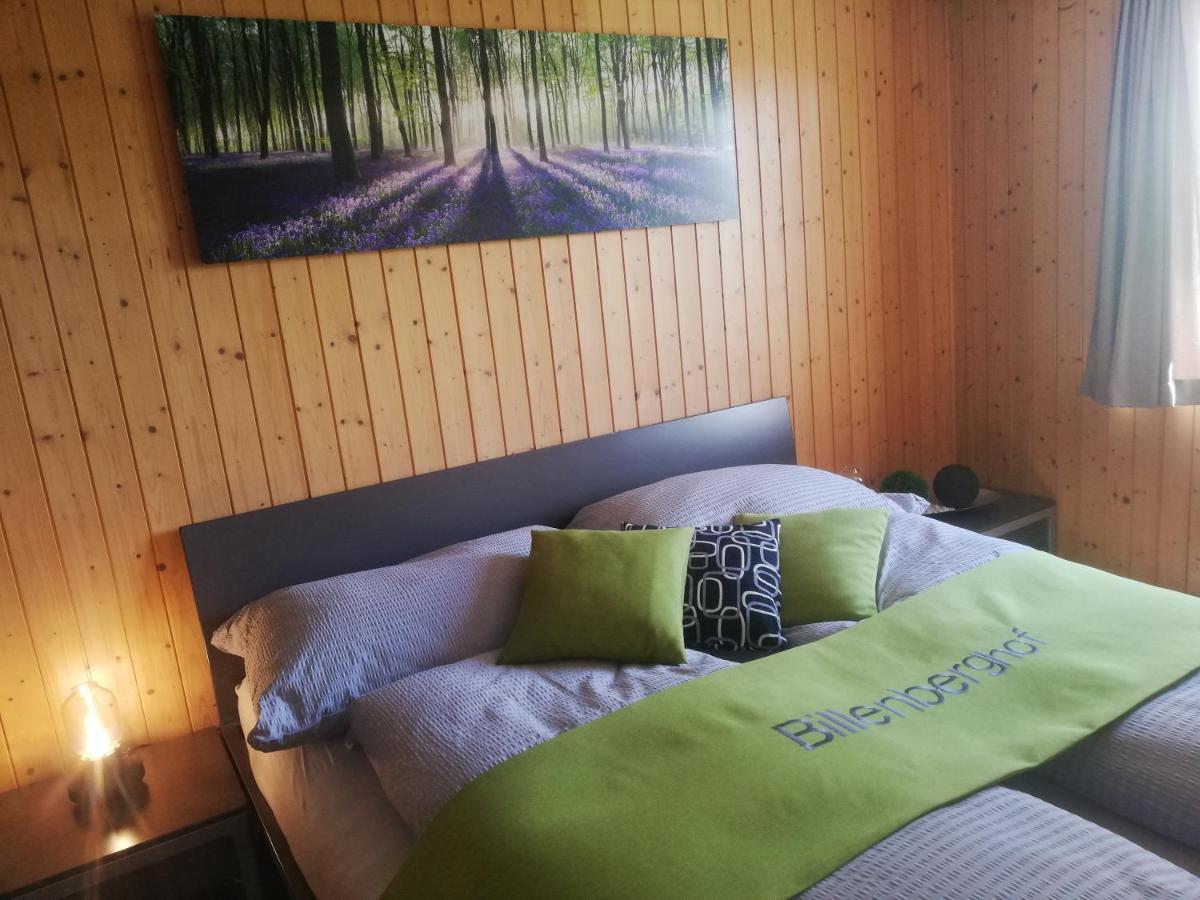 Billenberghof Lejlighed Sankt Gallen Eksteriør billede